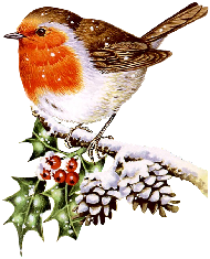 Christmas events 2025.pdf